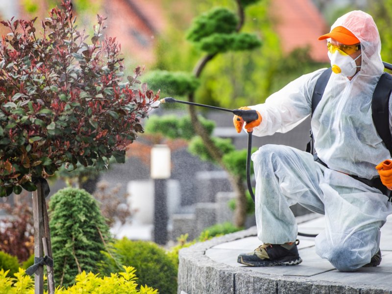 Yalıhüyük Haşere İlaçlama